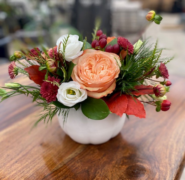 Autumn Joy
