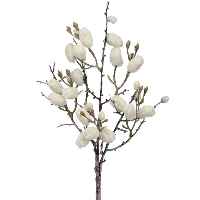 21' Wild Cotton Stem