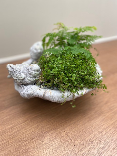 Birdbath Bowl Planter
