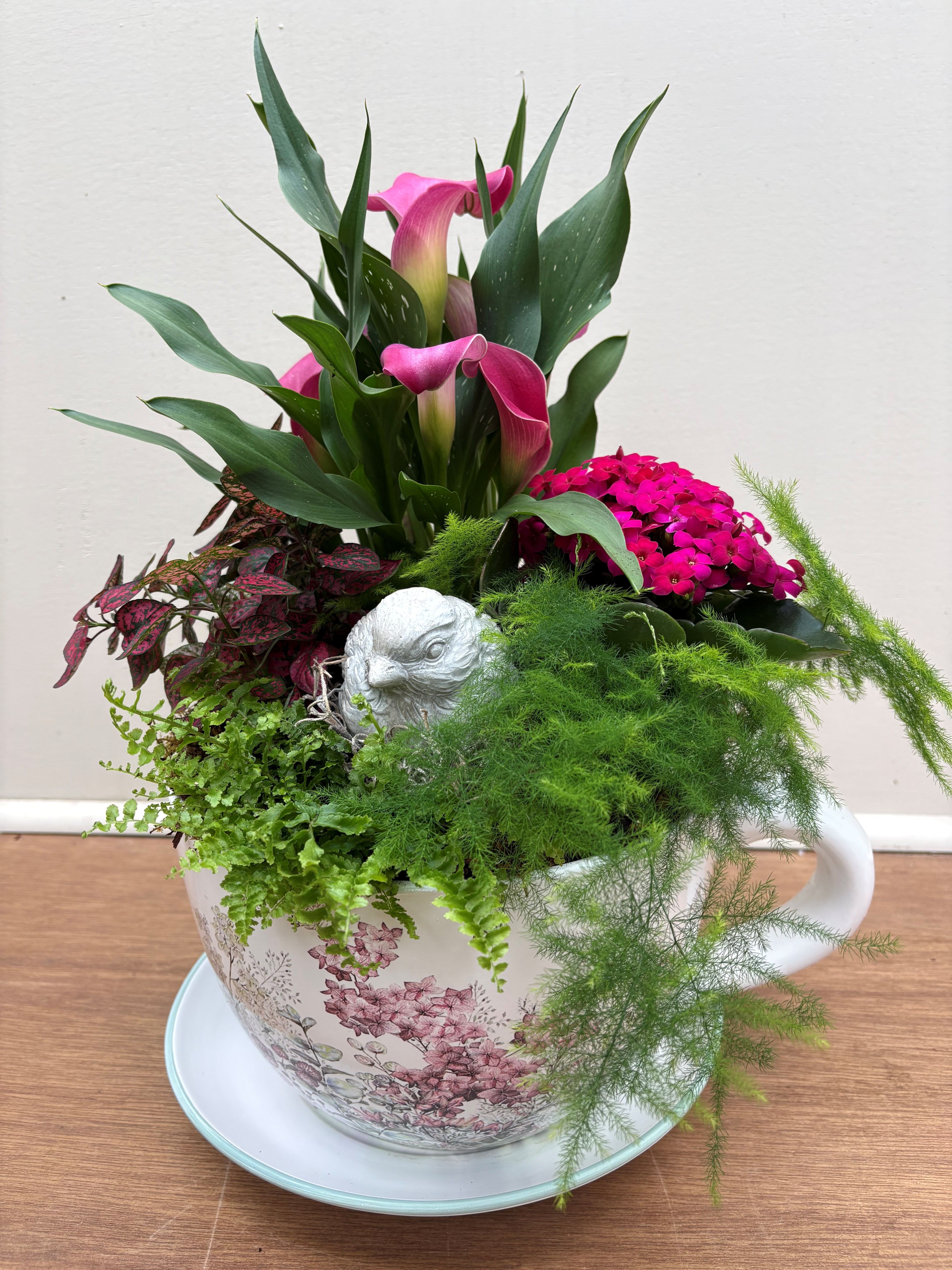Bird in a Teacup Planter