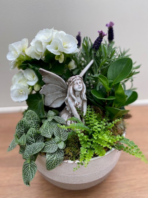 Fairy Garden Planter